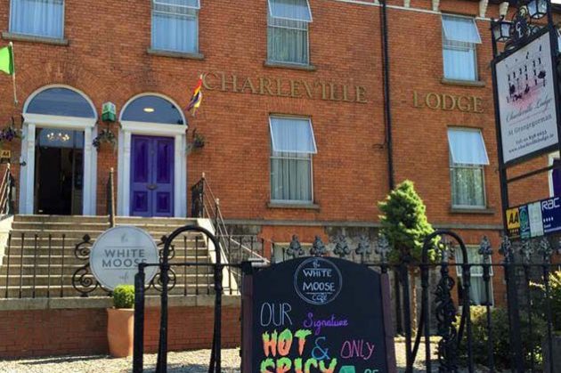 influenciadores digitais