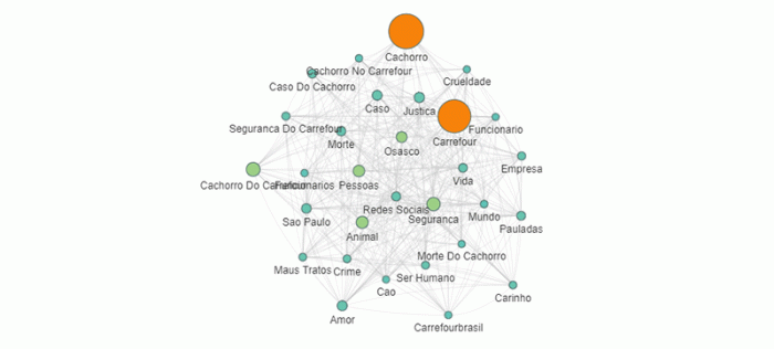 O poder das redes sociais: o caso Carrefour O poder das redes sociais: o caso Carrefour