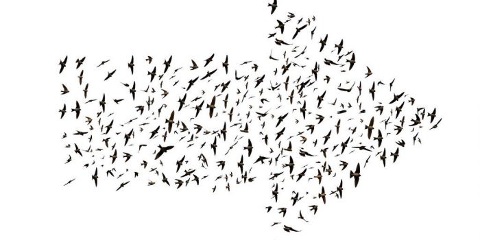 191003-migracao-do-rp-para-era-digital A migração do RP para a era digital