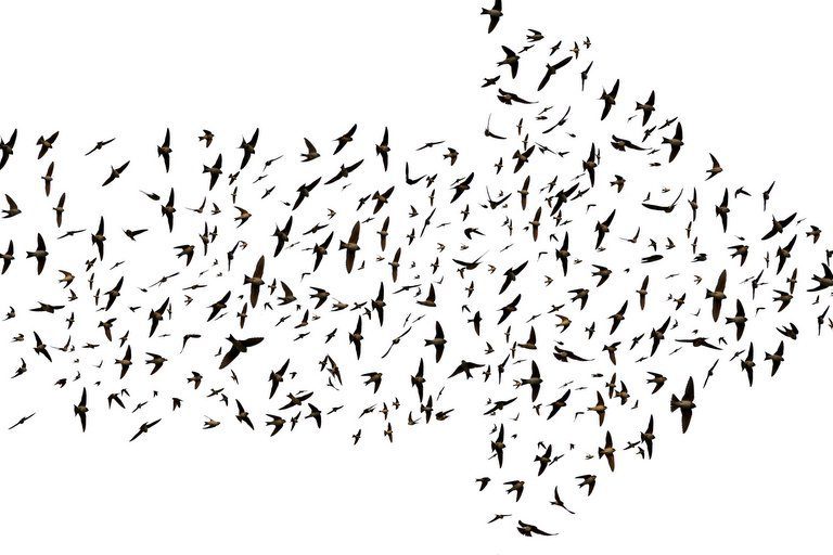 A migração do RP para a era digital